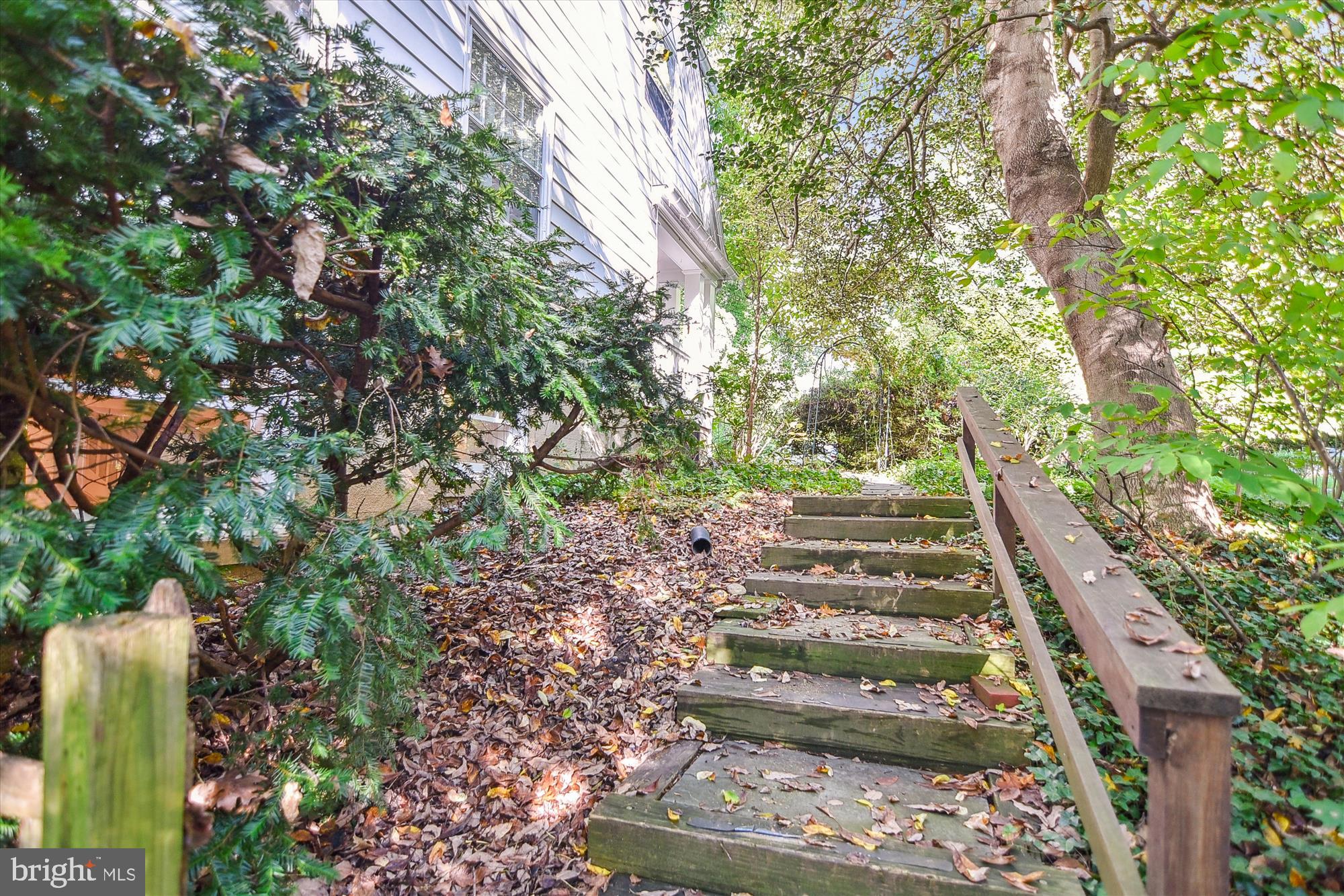 208 Edgevale Road Baltimore, MD 21210 - Photo 64 of 69 a view of a yard with plants and a fountain