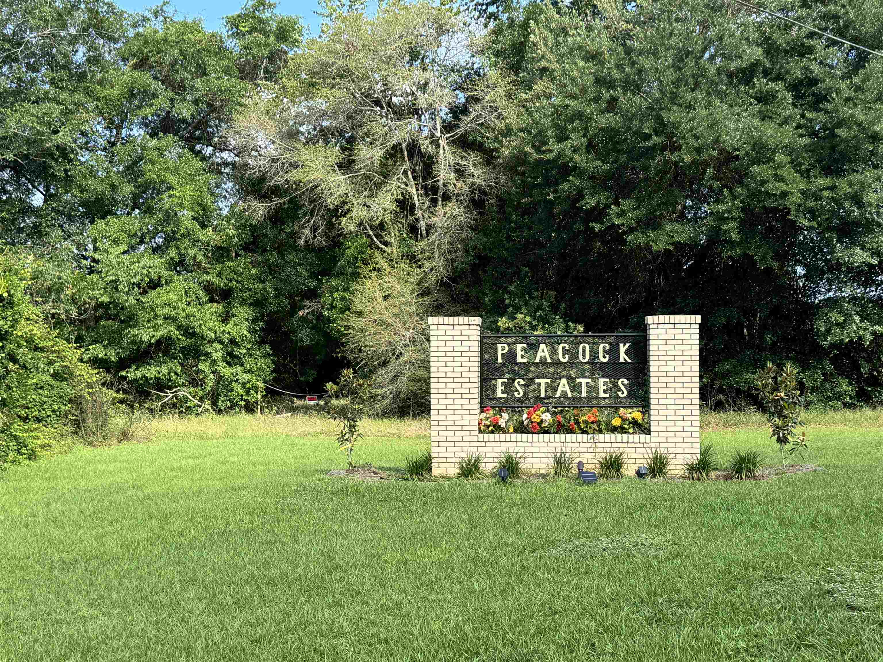 Solomon Dairy Road Quincy, FL 32352 - Photo 36 of 36