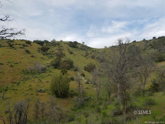 Ellen Blue Road Caliente, CA 93518 - Photo 4 of 6