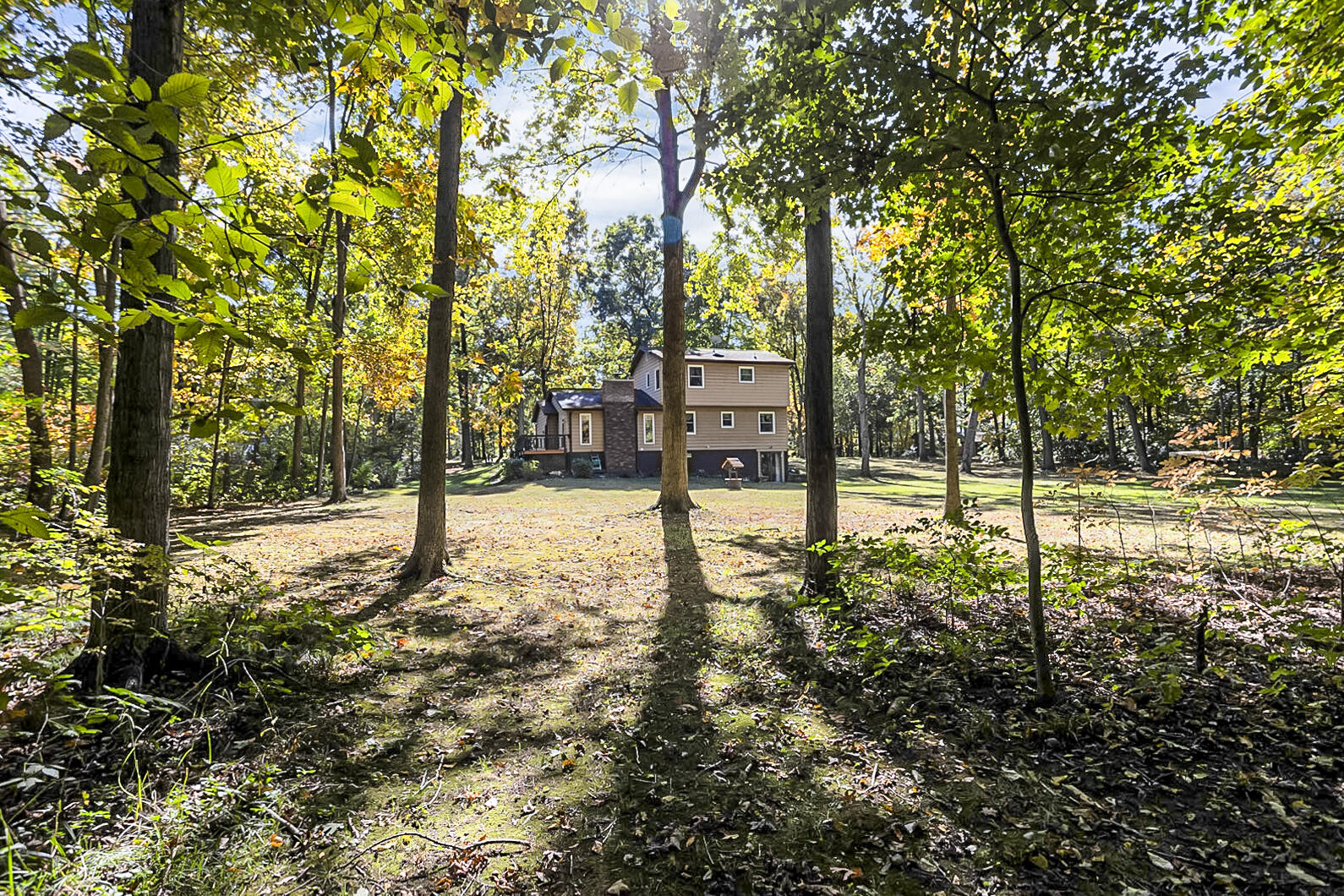 7020 McKay Road Jackson, MI 49201 - Photo 12 of 22 Mc Kay Back