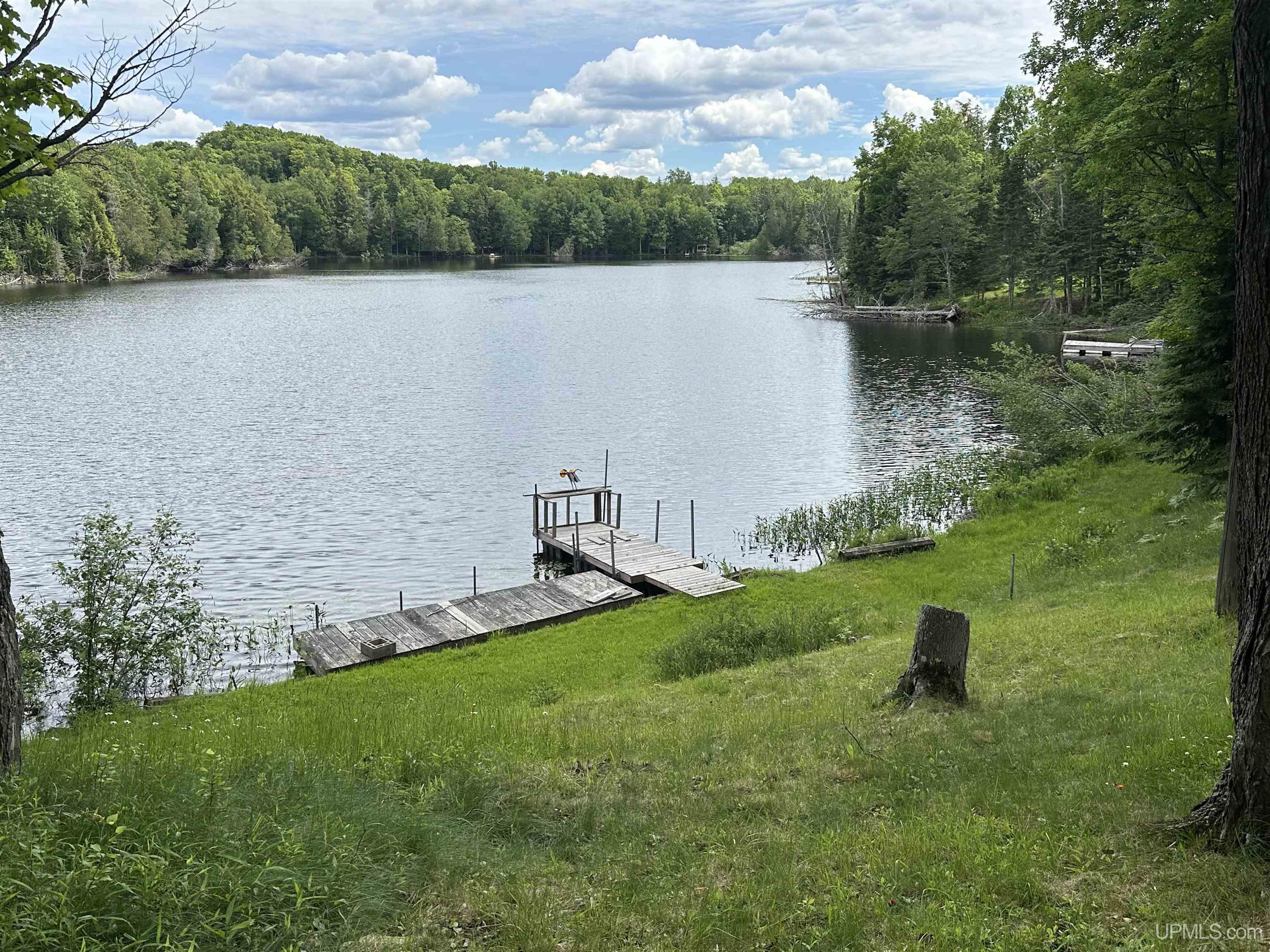 13797 State Line Lake Road East Marenisco, MI 49947 - Photo 7 of 19