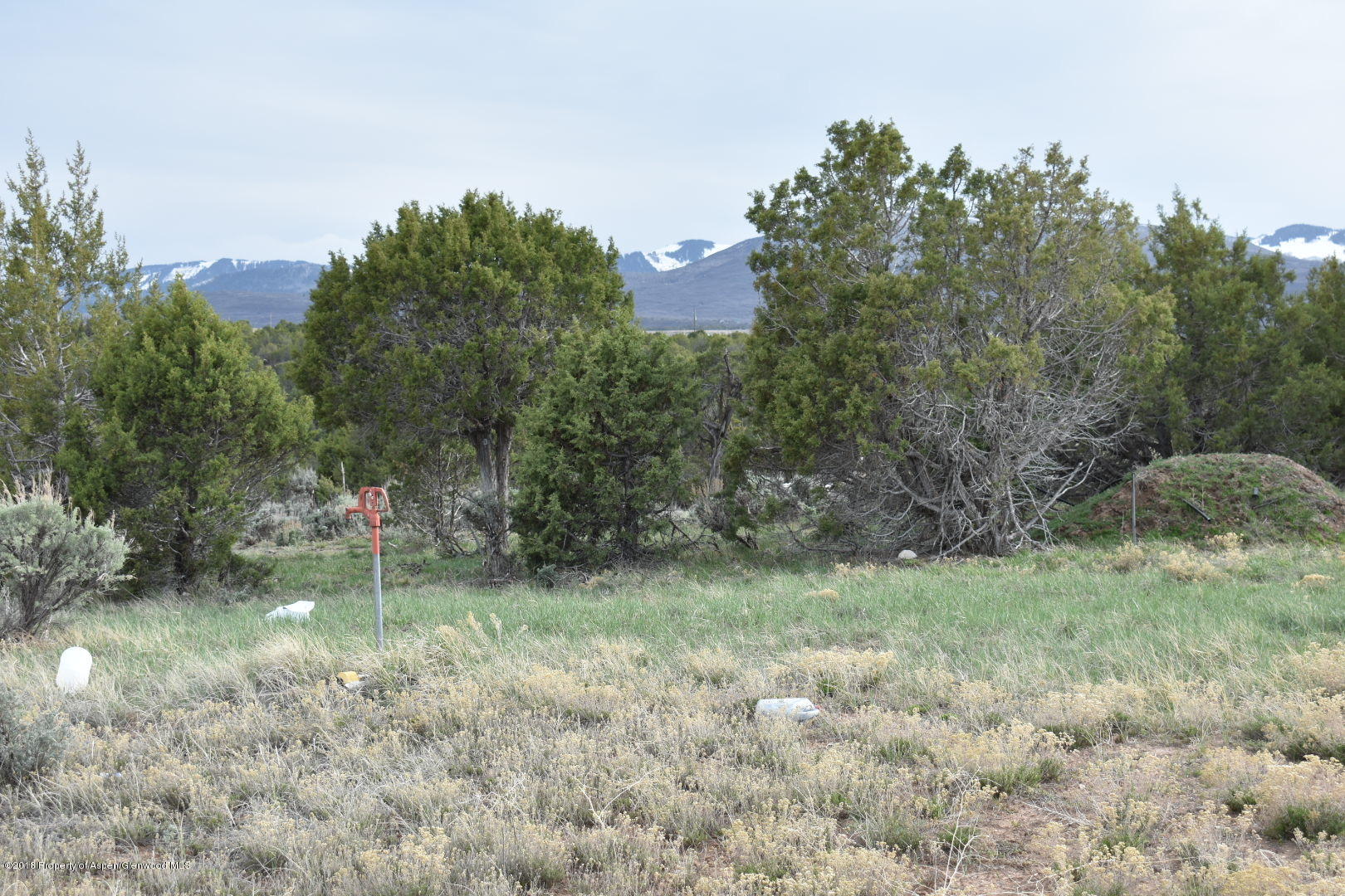 780 Quick Silver Way Rifle, CO 81650 - Photo 23 of 43 IMG_0015