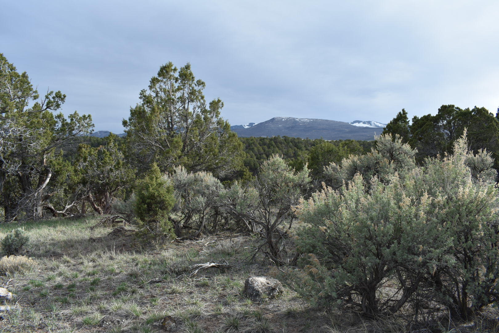 780 Quick Silver Way Rifle, CO 81650 - Photo 41 of 43 IMG_0038