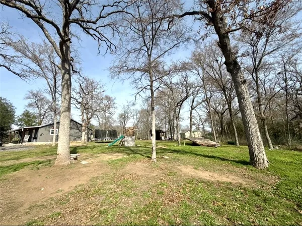 a view of a park with tree s