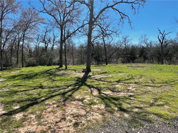 a view of a field with trees