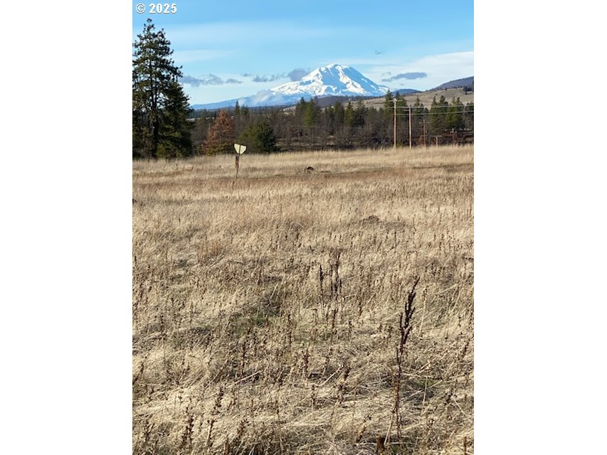 Sara View Drive Goldendale, WA 98620 - Photo 5 of 10 a view of a yard