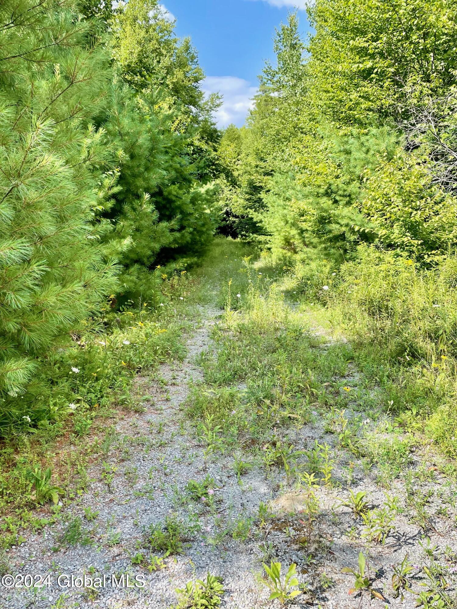 8 Lake Ridge Road Bolton, NY 12814 - Photo 12 of 19 IMG_4700