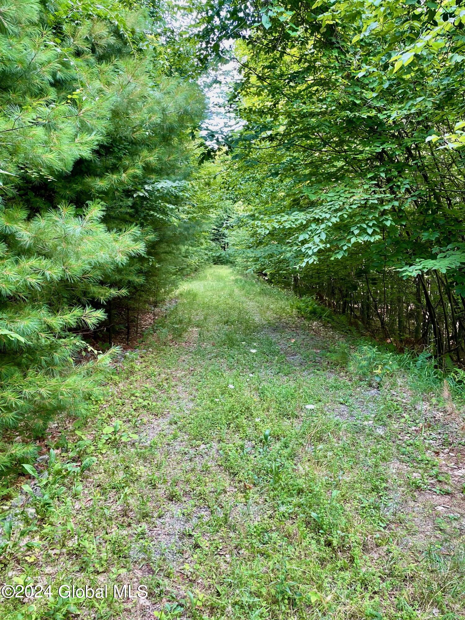 8 Lake Ridge Road Bolton, NY 12814 - Photo 13 of 19 IMG_4702 (1)