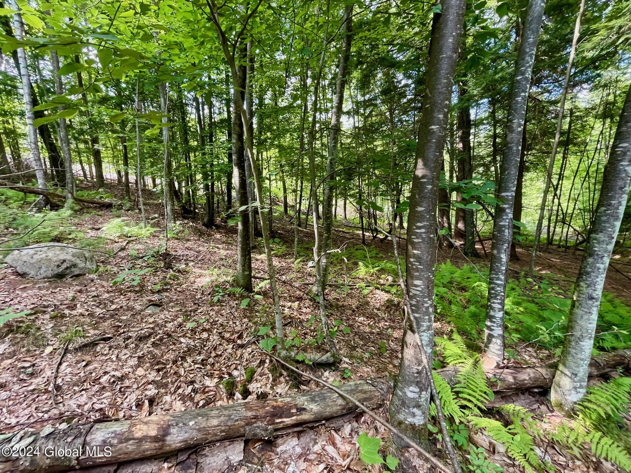 8 Lake Ridge Road Bolton, NY 12814 - Photo 15 of 19 IMG_4709