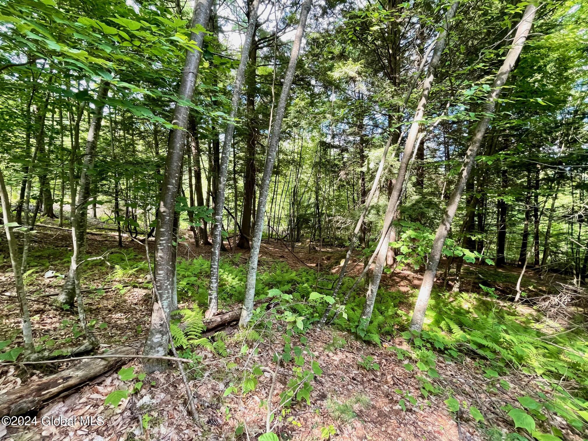 8 Lake Ridge Road Bolton, NY 12814 - Photo 18 of 19 IMG_4706