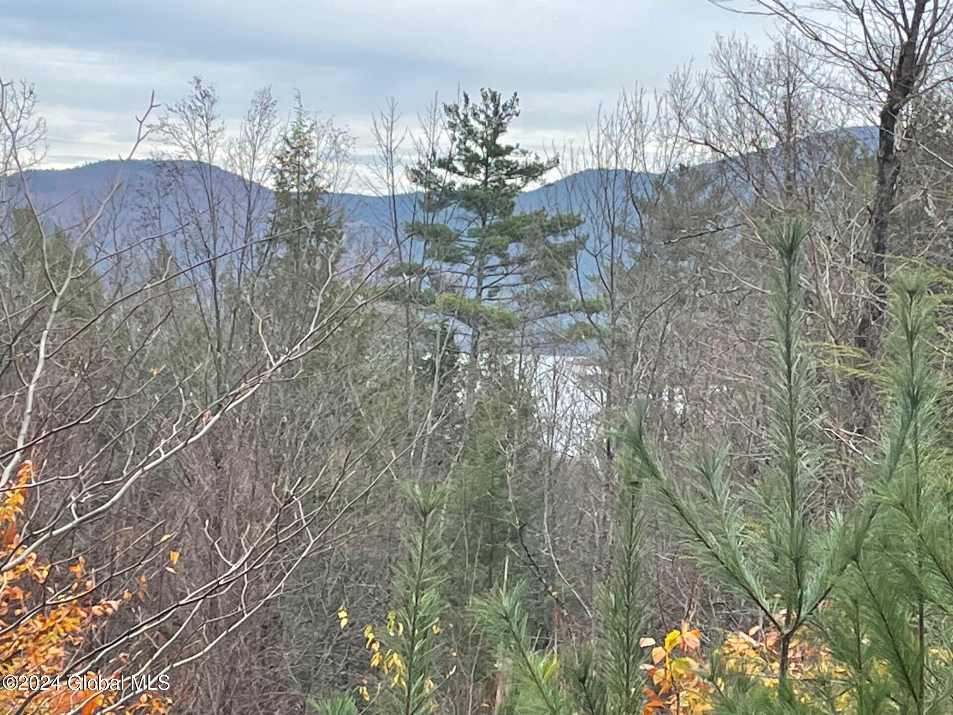 8 Lake Ridge Road Bolton, NY 12814 - Photo 2 of 19 thumbnail_IMG_5502