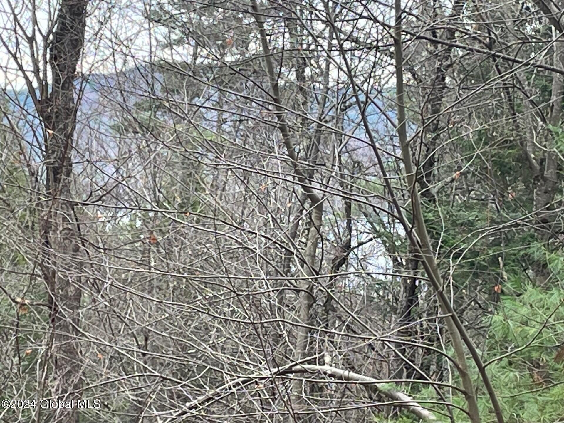 8 Lake Ridge Road Bolton, NY 12814 - Photo 5 of 19 thumbnail_IMG_5499