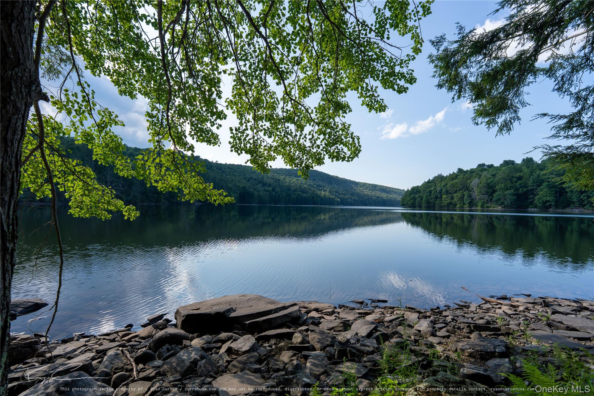 Old Plank Road Forestburgh, NY 12777 - Photo 17 of 38 Gallery Image 17