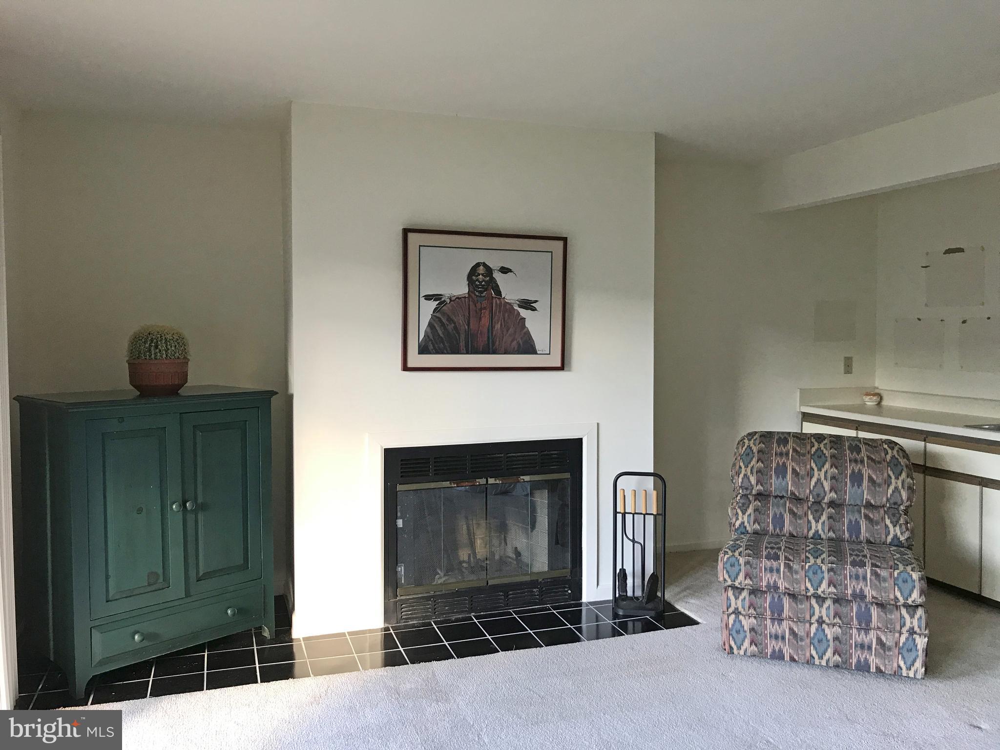 22 Ridge Court Basye, VA 22842 - Photo 23 of 30 Family Room has fireplace and built-ins