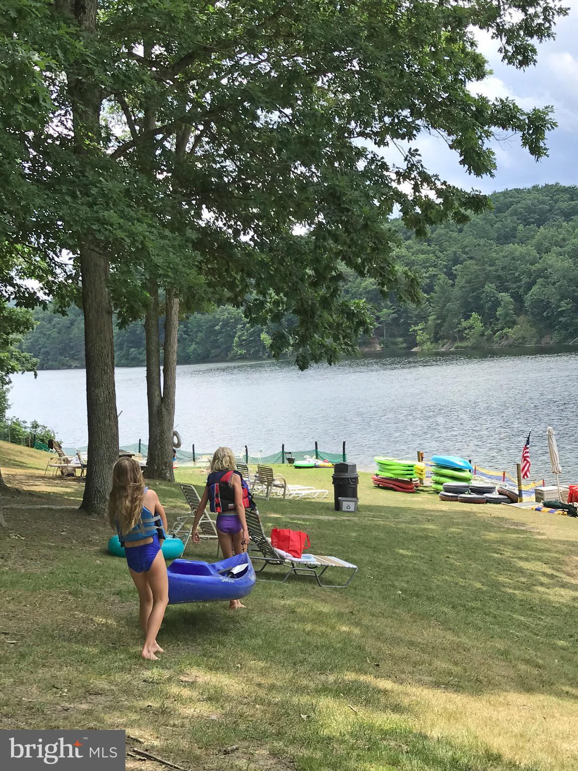 22 Ridge Court Basye, VA 22842 - Photo 28 of 30 Lake Laura Summer Fun!