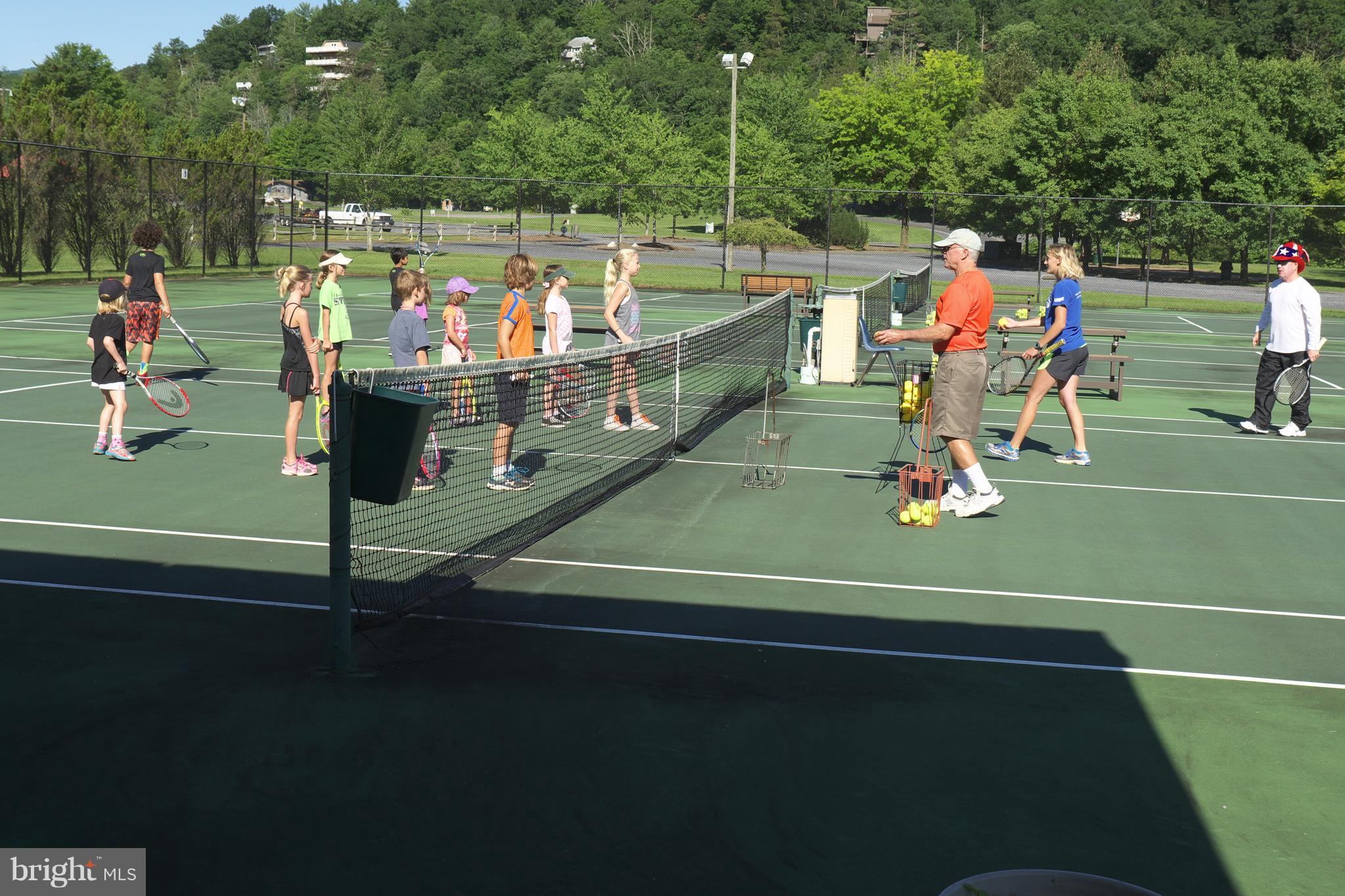 22 Ridge Court Basye, VA 22842 - Photo 29 of 30 Tennis, Swimming, Golf Camp, Mountain Biking, Zip