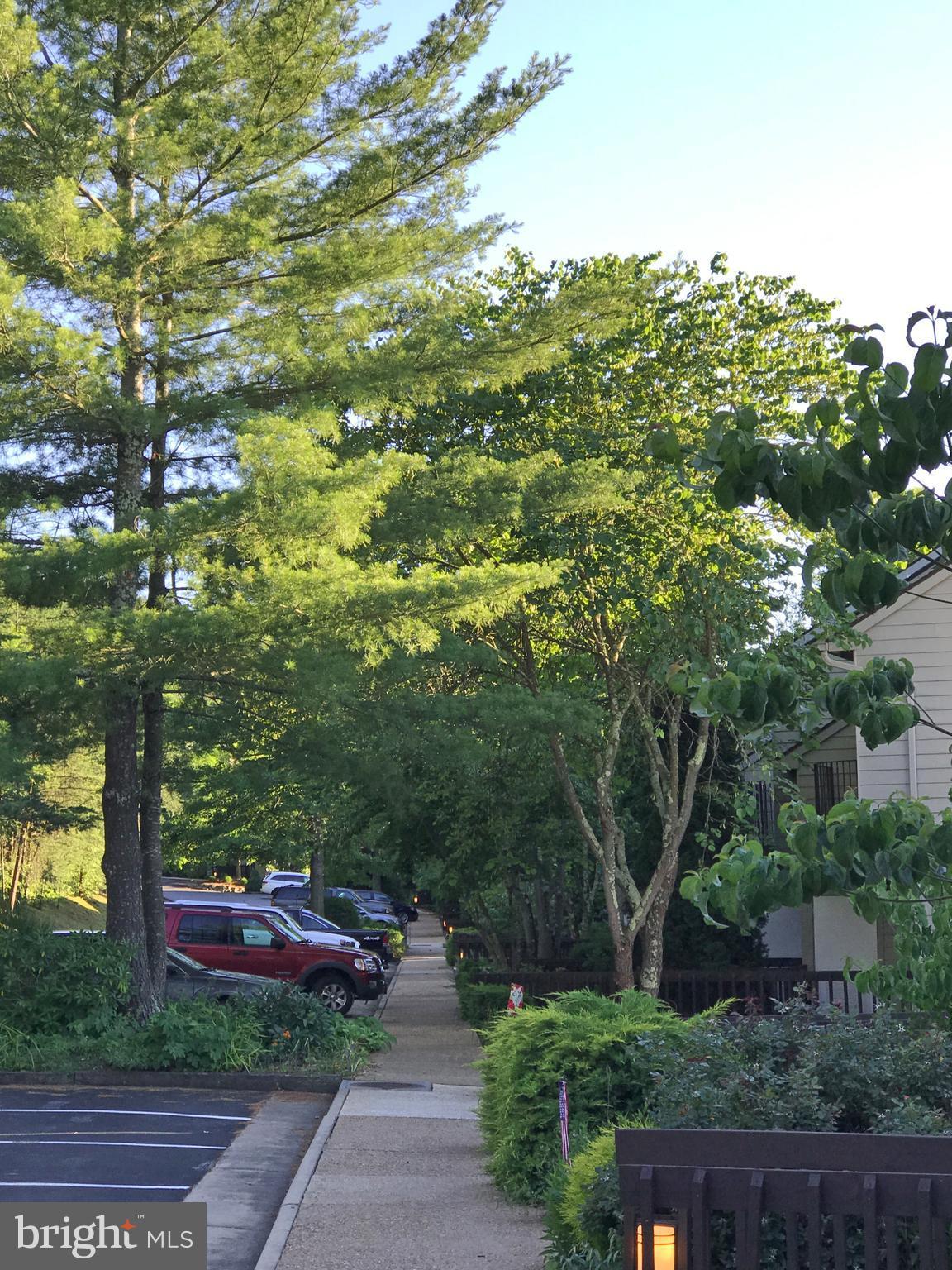 22 Ridge Court Basye, VA 22842 - Photo 5 of 30 Sidewalks make for easy access to Resort amenities