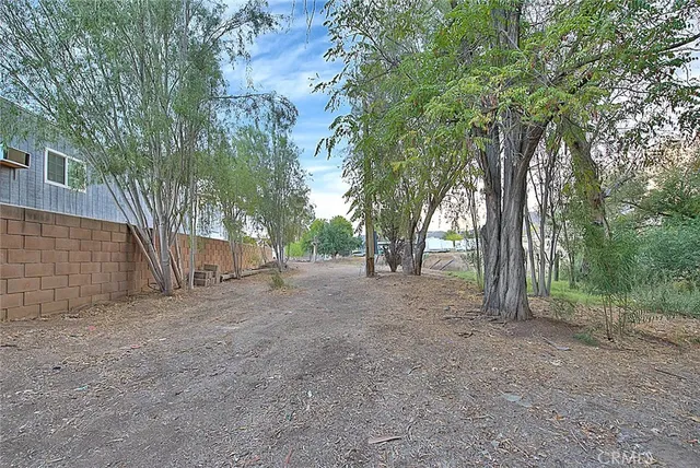 a view of a forest with trees in the background