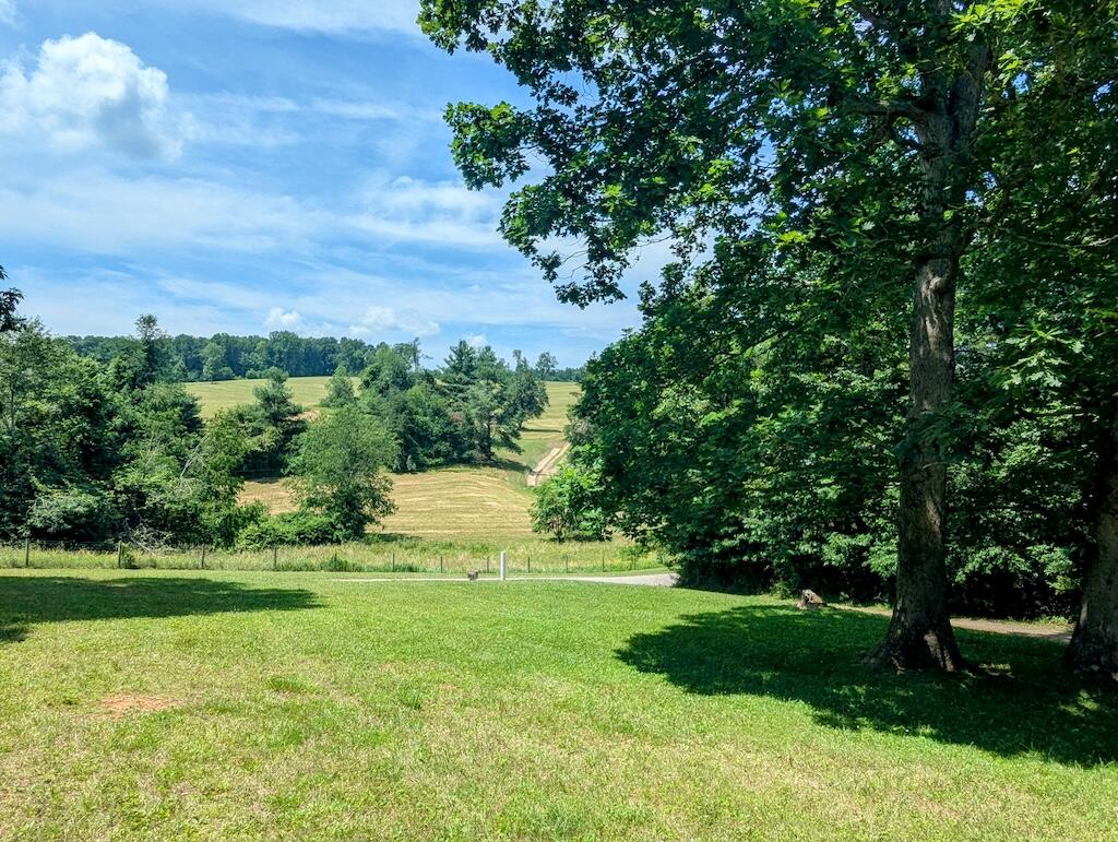 1251 Epperly Mill Road Southwest Floyd, VA 24091 - Photo 20 of 20 a view of a back yard