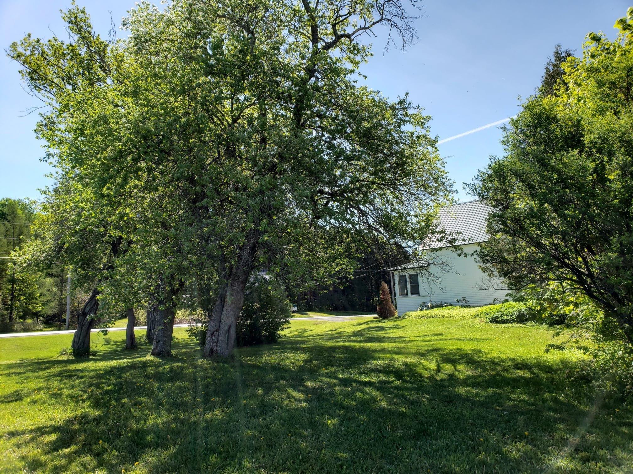 692 Houlton Road Easton, ME 04740 - Photo 47 of 59 62335095_1509937579141839_61902160015612