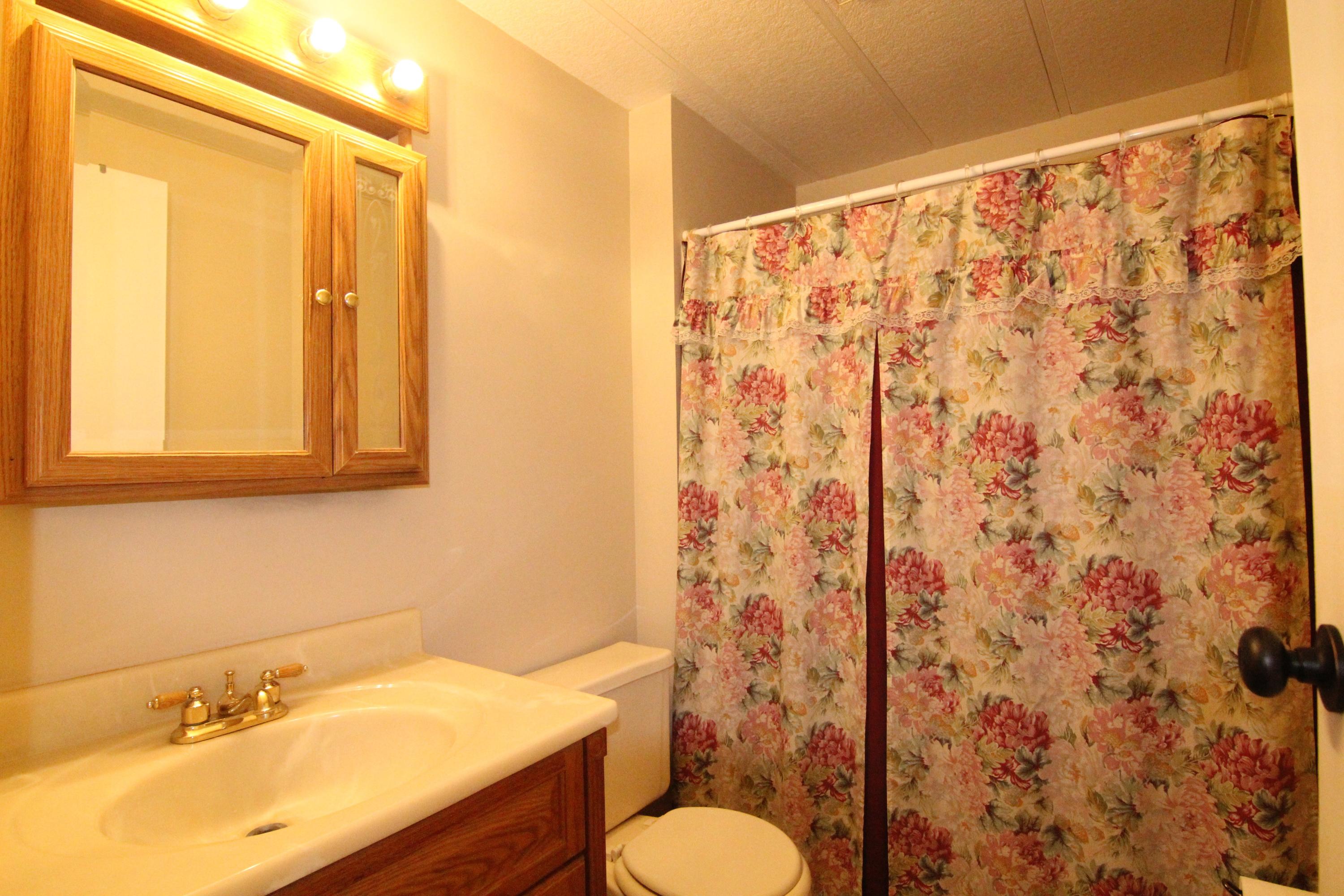 6773 Goodview Road Goodview, VA 24095 - Photo 20 of 43 a bathroom with a sink toilet and shower
