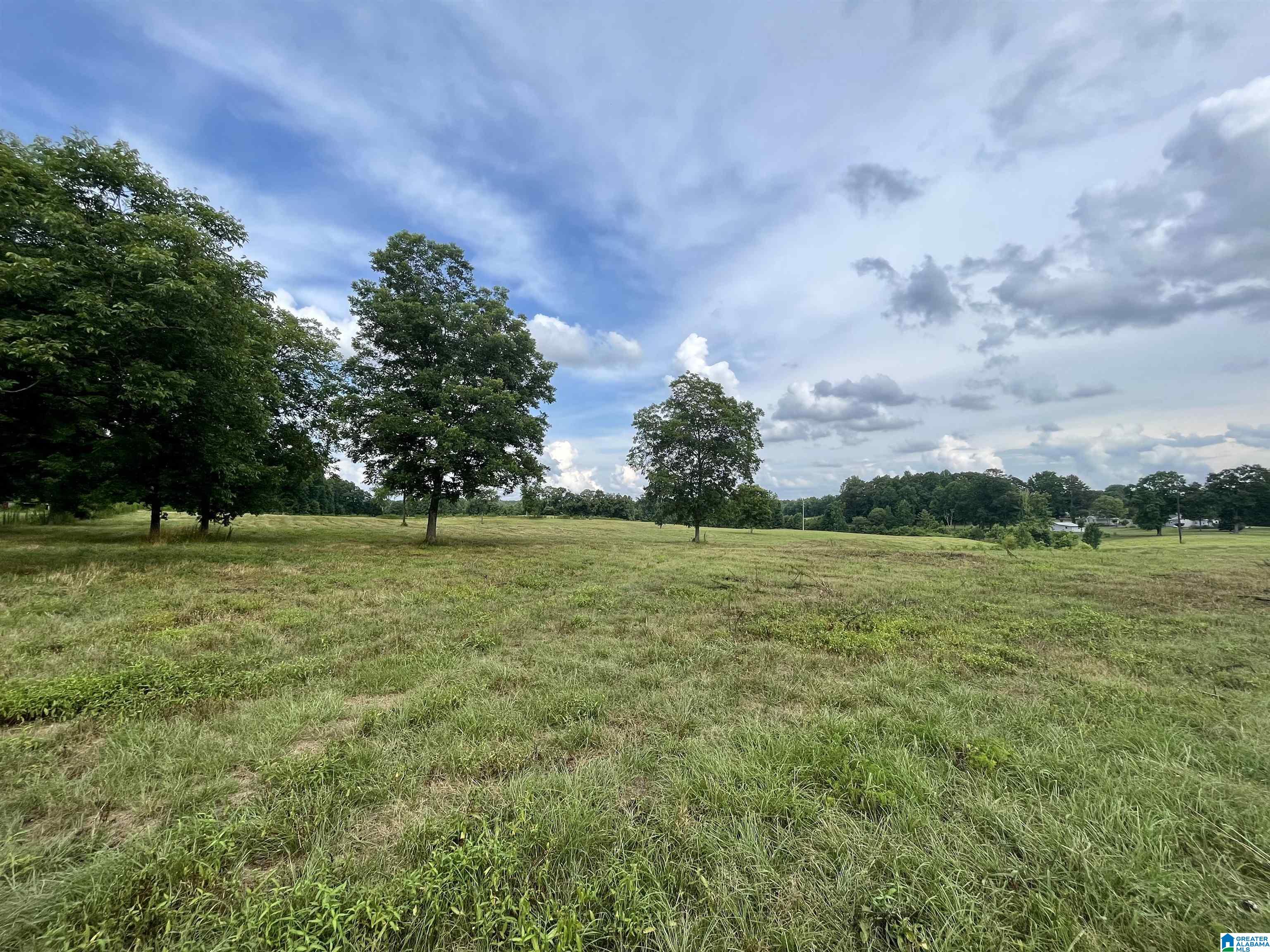 2917 Doublehead Road, Unit 170 ACRES Roanoke, AL 36274 - Photo 12 of 18