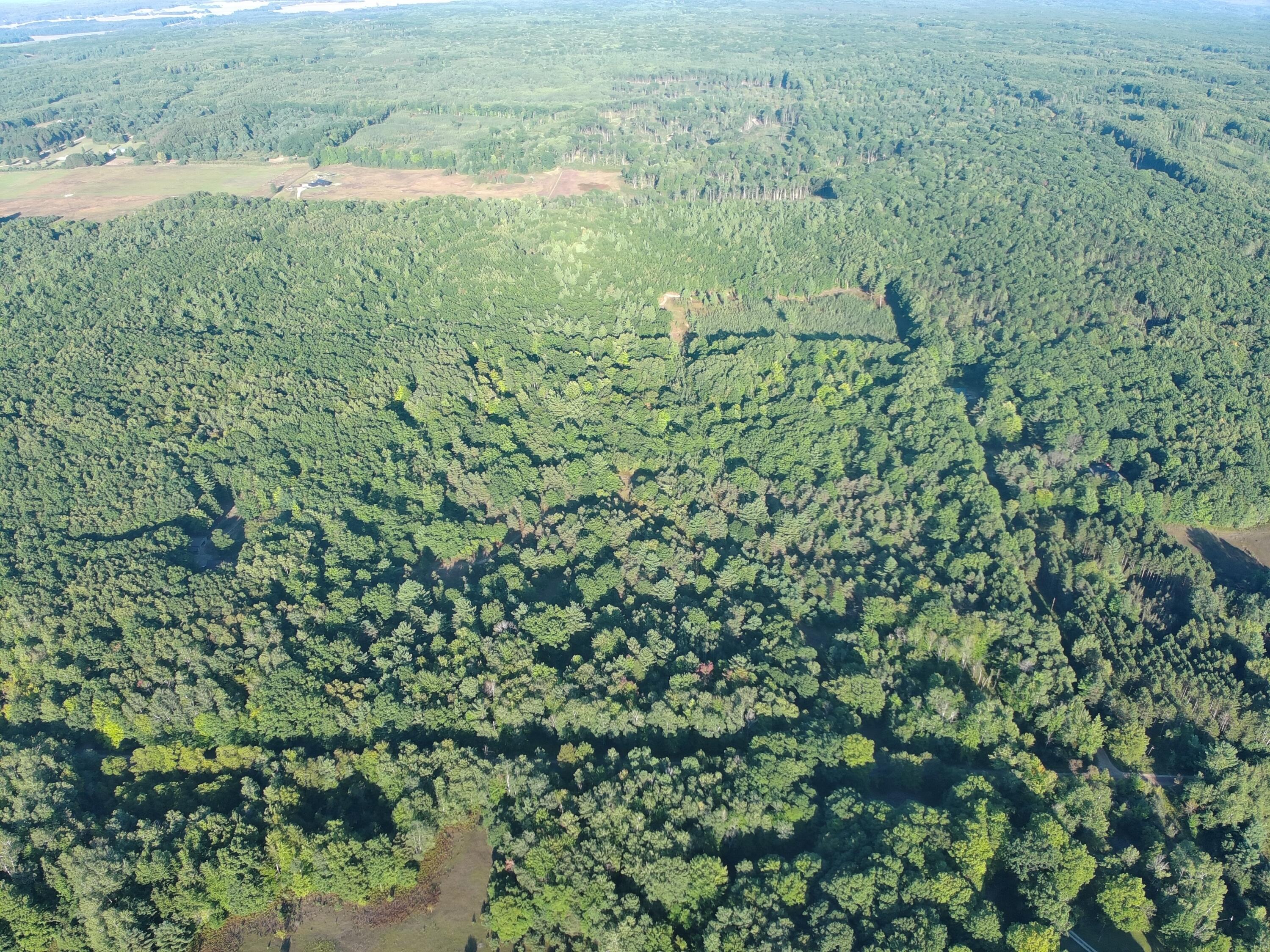 1-5 Clements Road Kaleva, MI 49645 - Photo 28 of 61 MAX_0168