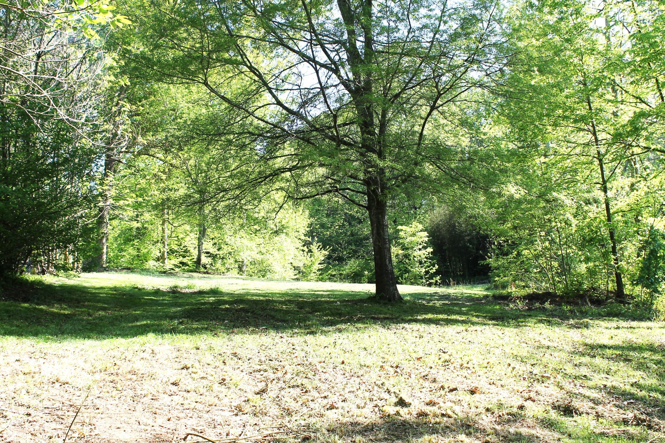 743 Beaumont Road Rock Spring, GA 30739 - Photo 2 of 8 IMG_3144