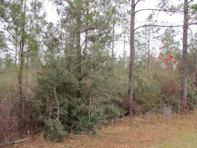 56018 Dollar Road Angie, LA 70426 - Photo 3 of 4 Gallery Image 3