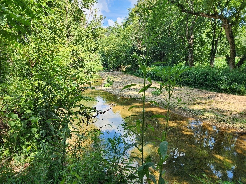 0 Taurus Farm Road Lafayette, TN 37083 - Photo 22 of 67 Gallery Image 22