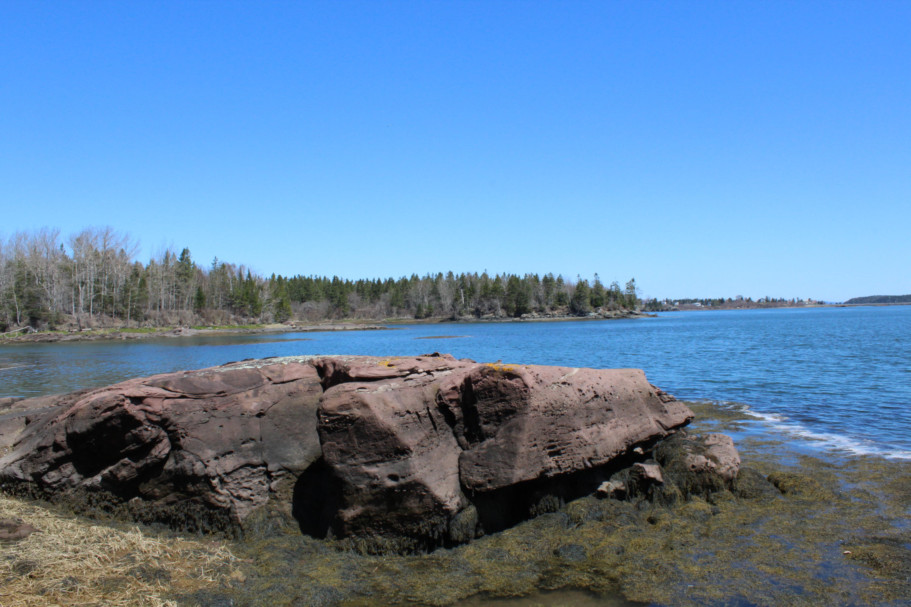 0 Old Eastport Road Perry, ME 04667 - Photo 2 of 25 IMG_3506