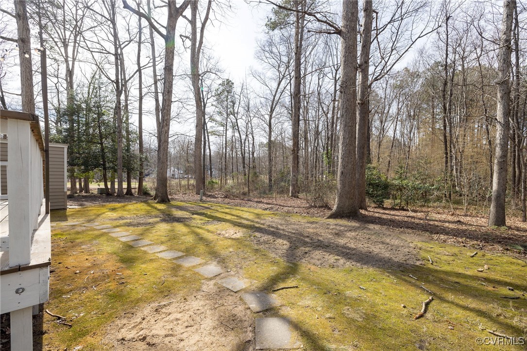 3018 3 Bridges Road Midlothian, VA 23112 - Photo 25 of 30 View of yard