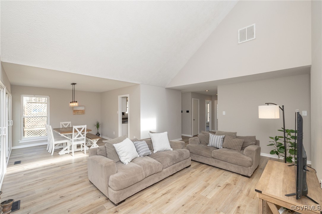 3018 3 Bridges Road Midlothian, VA 23112 - Photo 4 of 30 Living room with light wood-style floors, baseboar