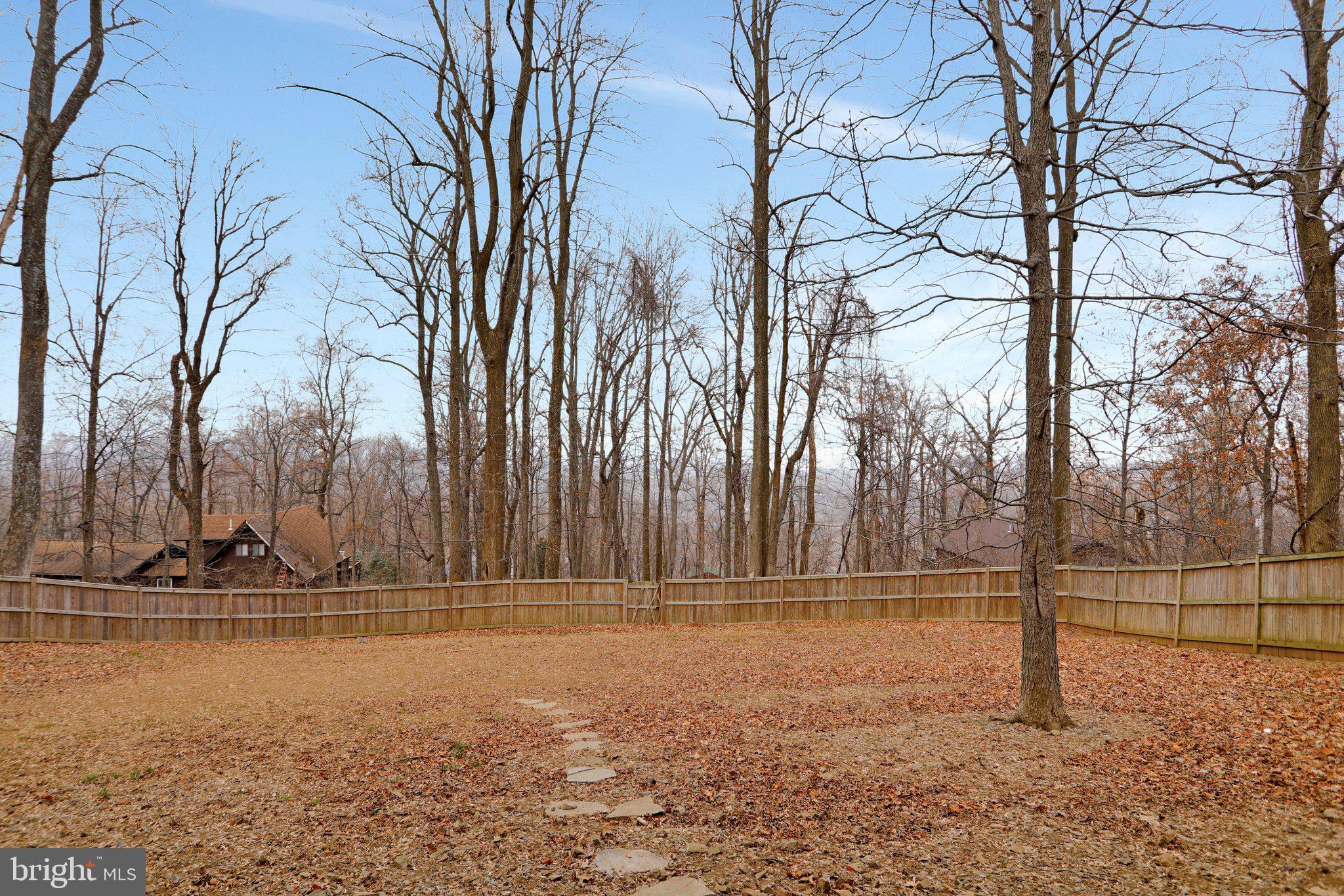 173 Salt Lick Road Front Royal, VA 22630 - Photo 47 of 53 Gallery Image 47