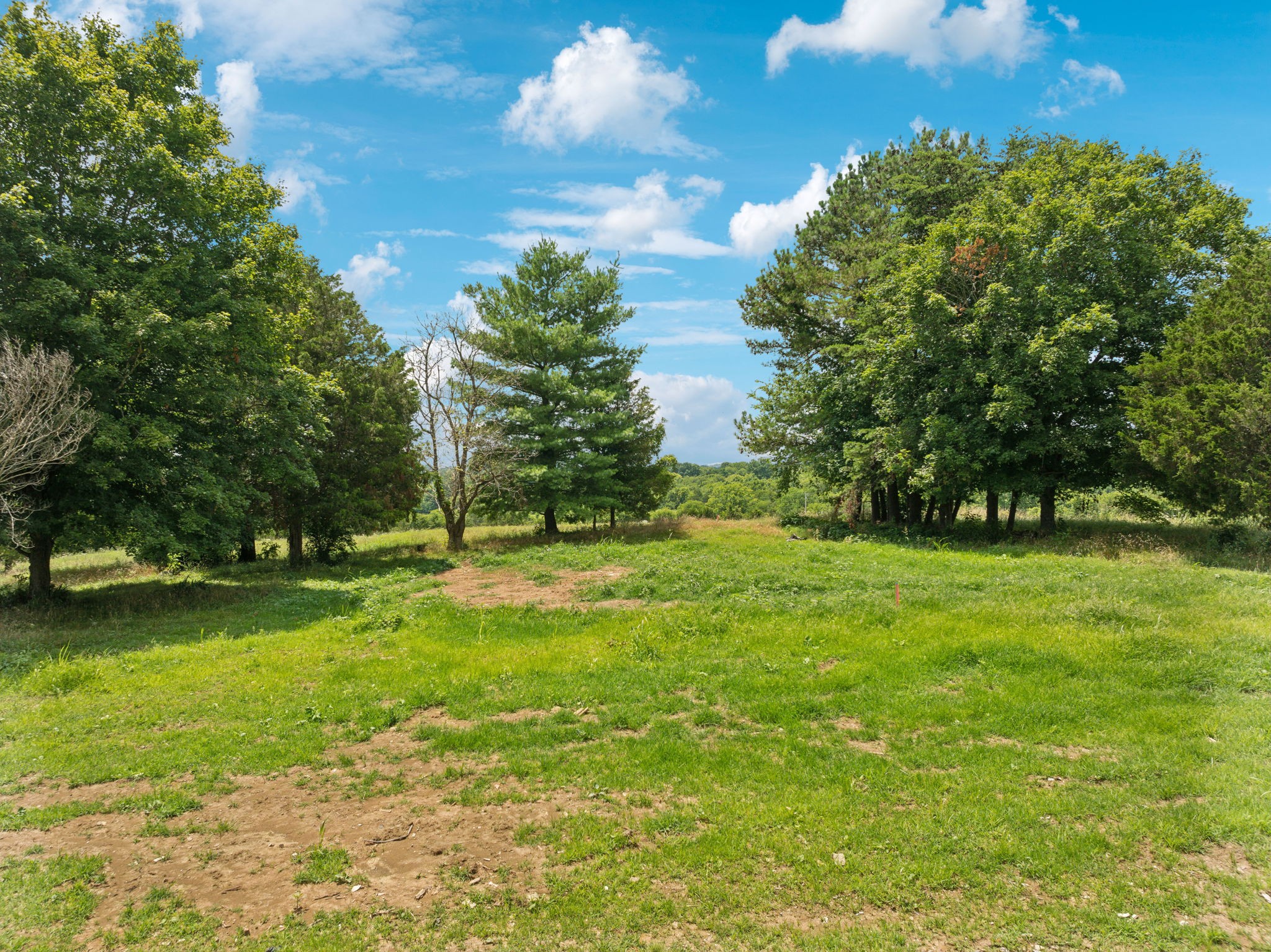 5 Double Branch Road Spring Hill, TN 37174 - Photo 4 of 12 a view of a trees with a yard