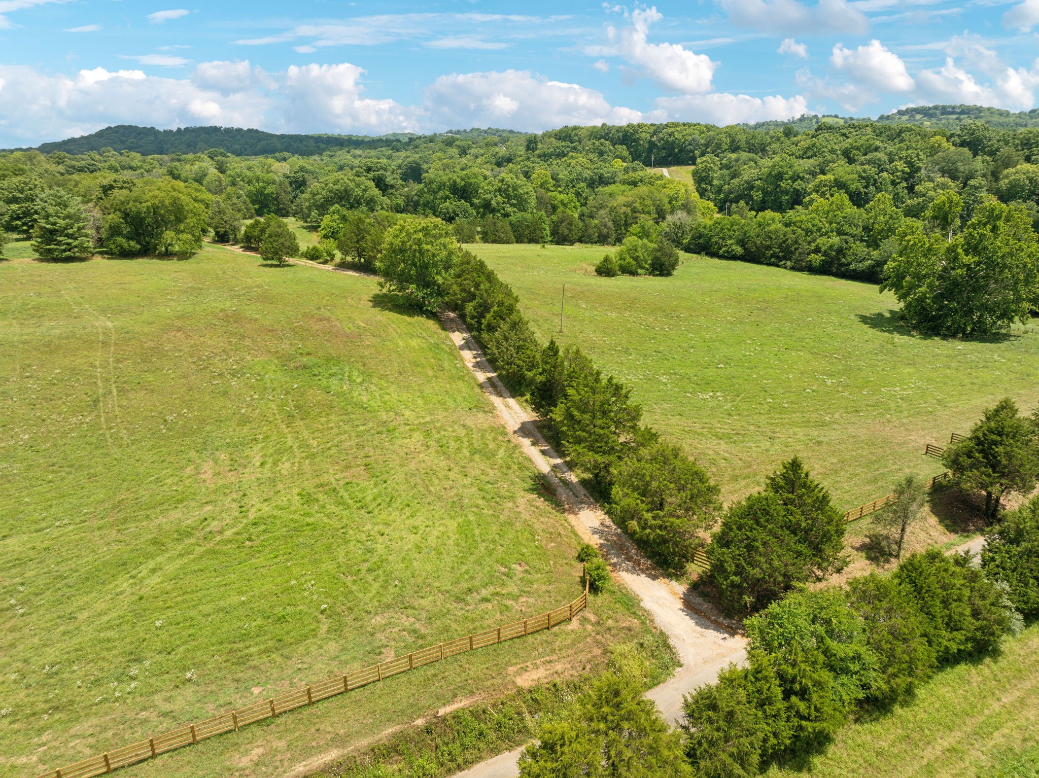 5 Double Branch Road Spring Hill, TN 37174 - Photo 5 of 12 a view of a lake with a yard