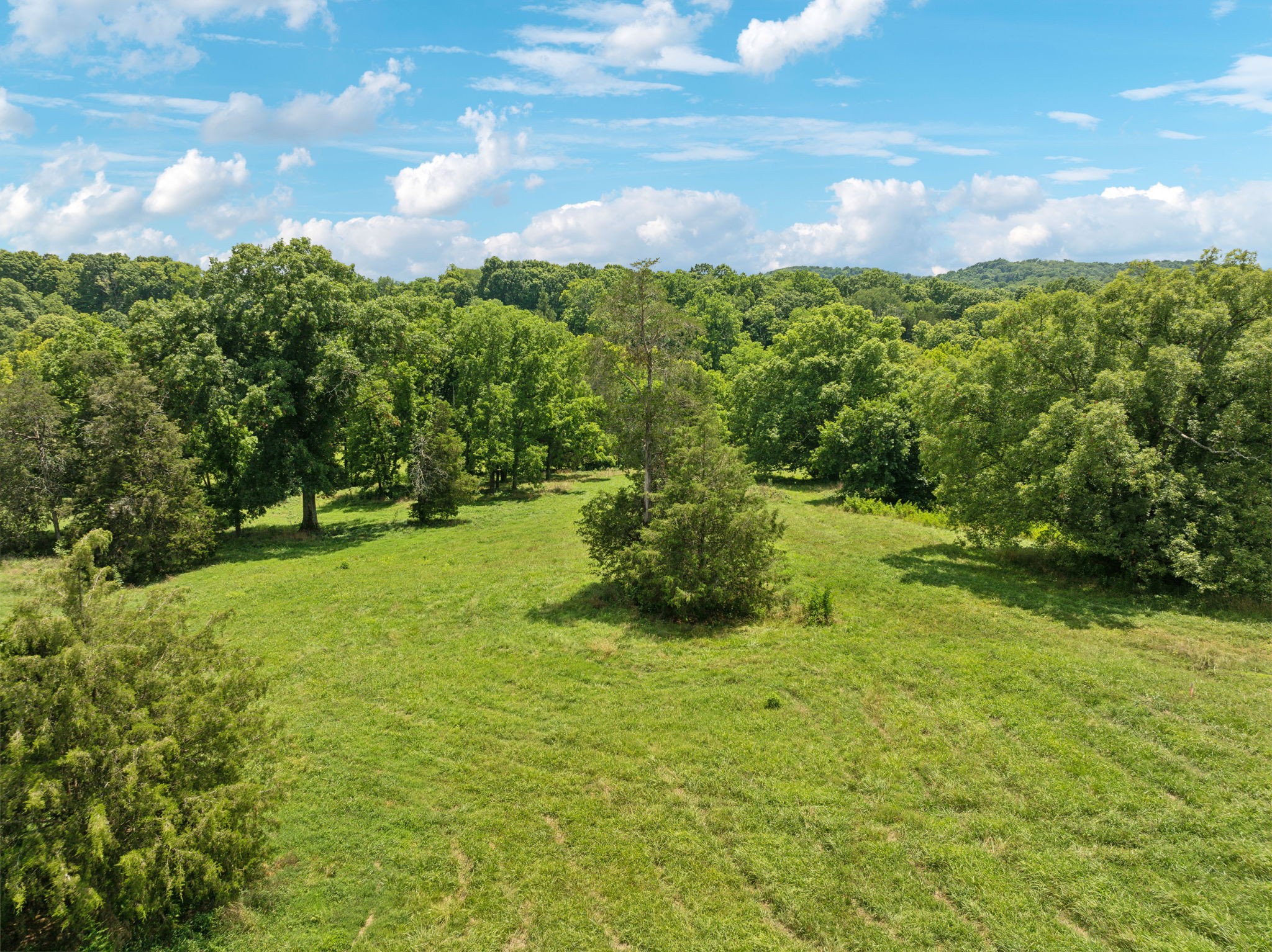 5 Double Branch Road Spring Hill, TN 37174 - Photo 8 of 12 a view of a garden with an trees