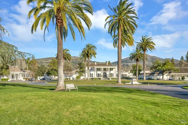 a view of a large trees with a big yard and large trees
