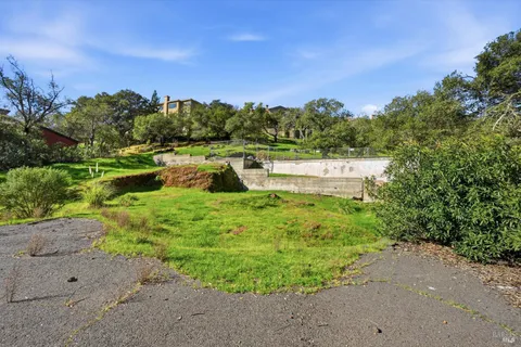 a view of a garden with large trees