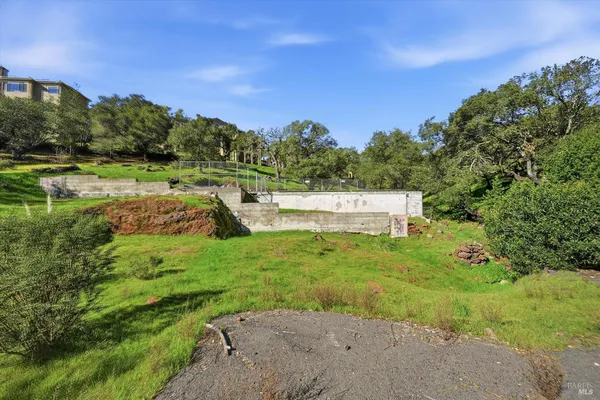 a view of a lush green forest with trees in the background