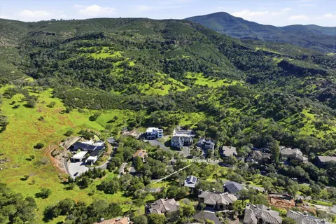 a view of a lush green forest with trees in the background