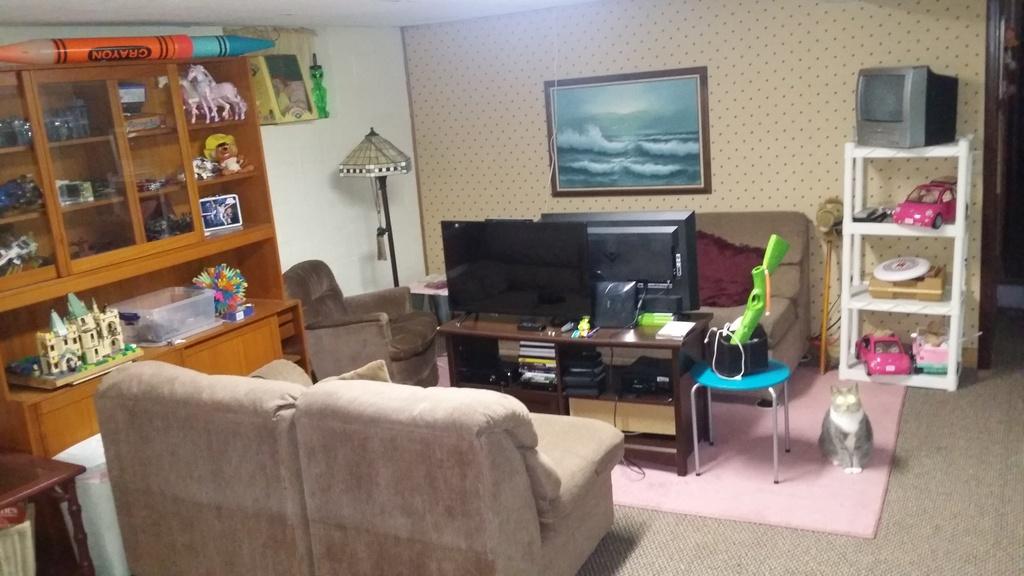 2581 Forge Ridge Road Harrogate, TN 37752 - Photo 19 of 22 FAMILY ROOM DOWNSTAIRS