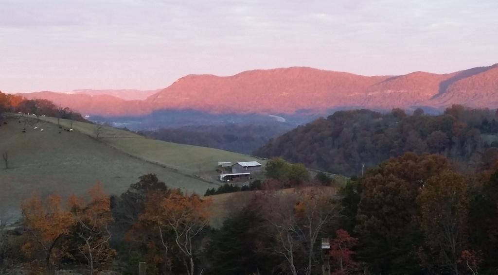 2581 Forge Ridge Road Harrogate, TN 37752 - Photo 6 of 22 VIEW FROM FRONT PORCH