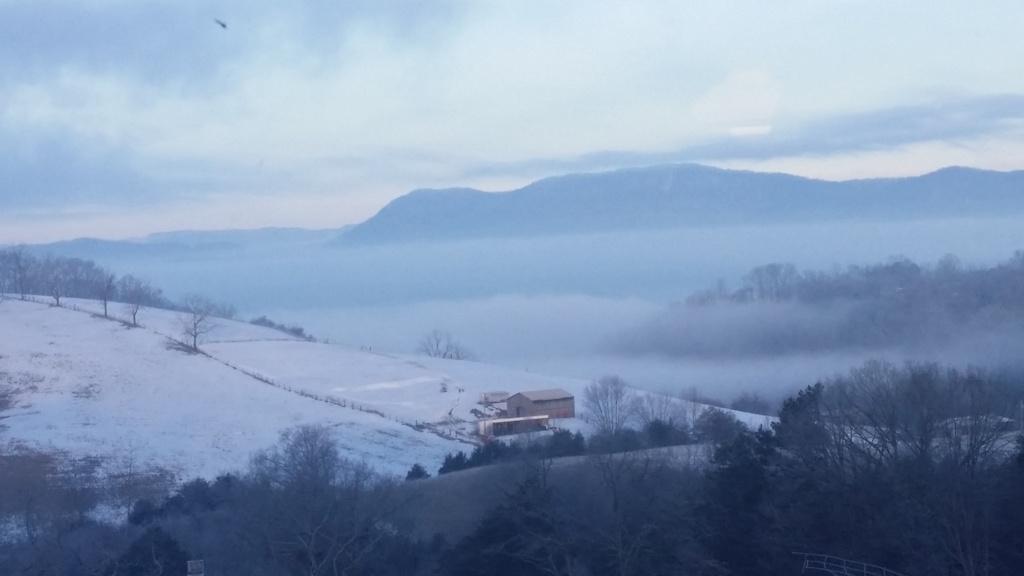 2581 Forge Ridge Road Harrogate, TN 37752 - Photo 9 of 22 SNOW SCENE