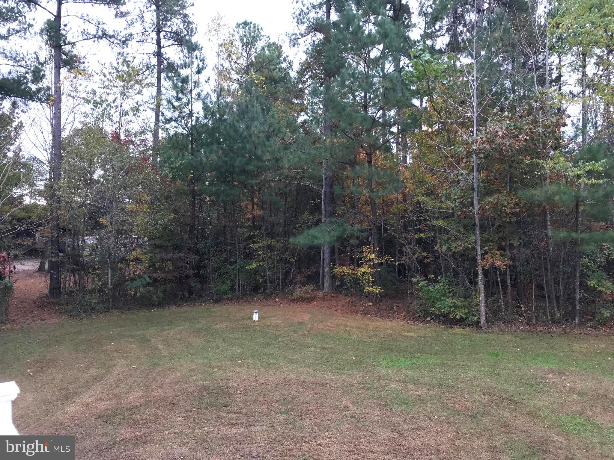 5911 Towles Mill Road Partlow, VA 22534 - Photo 4 of 26 view from Deck in Rear