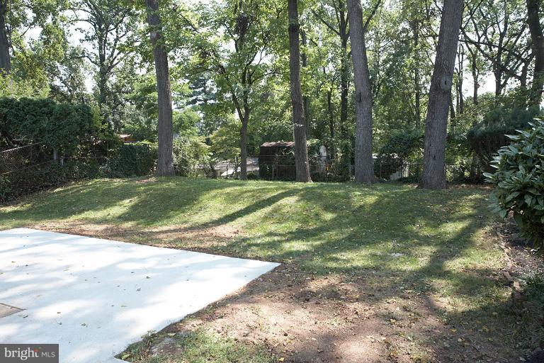 3904 Adams Drive Silver Spring, MD 20902 - Photo 12 of 13 Backyard