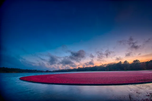 a view of a lake with a mountain