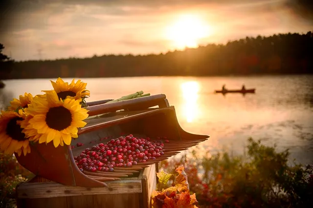 $699,900 | 5 Daylily Drive, Plymouth, MA 02360