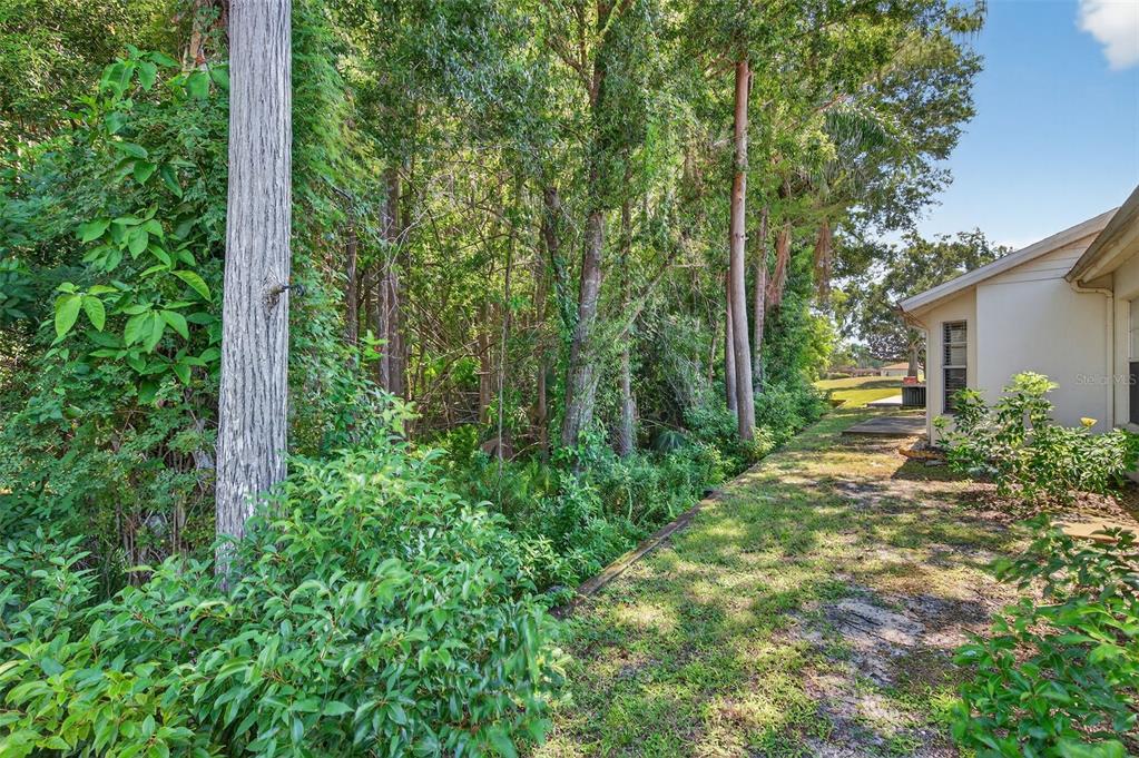 4916 Troon Lane New Port Richey, FL 34655 - Photo 36 of 53 a view of a yard with plants and large trees