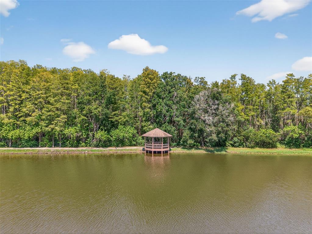 4916 Troon Lane New Port Richey, FL 34655 - Photo 53 of 53 a view of a lake with a building in the background
